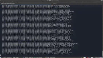 Сборка пакета с правками в контейнере rootfs ROSA. Часть 2