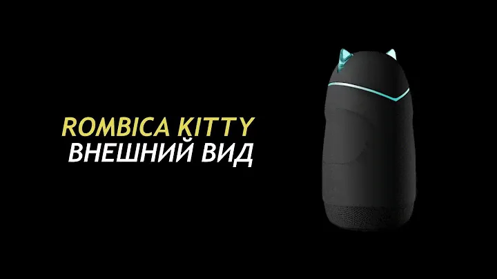 Rombica Kitty 02 - Appearance