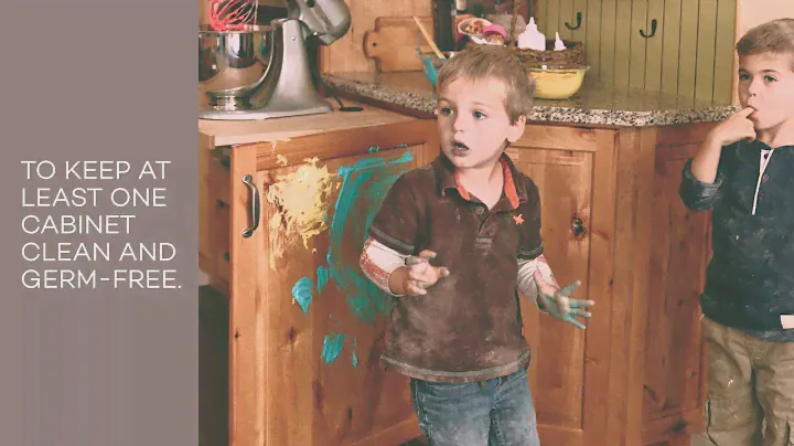 KraftMaid: Auto-Open Wastebasket