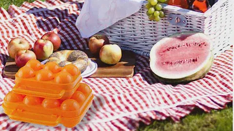 Бокс для хранения и переноски 12 яиц